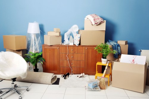 Professional packing supplies and carefully labeled moving boxes in an Eltham home