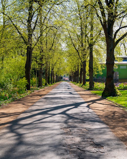 A wide, paved street flanked by tall trees with fresh green leaves creating a canopy overhead, casting intricate shadows on the road surface. On the right side, there is a green building partially visible behind the trees, and on the left, a flower bed with colorful plants. The scene appears peaceful and quiet, with no vehicles or pedestrians in view, and the natural light suggests a bright, sunny day. This environment is characteristic of a residential area suitable for house removals or home relocation activities, as depicted on the page titled 'Avery Hill park to SE9 removals best routes and parking tips' by Eltham Man and Van, who specialise in removals and relocation services.